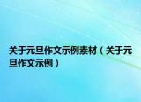 关于元旦作文示例素材（关于元旦作文示例）