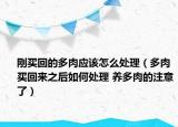 刚买回的多肉应该怎么处理（多肉买回来之后如何处理 养多肉的注意了）