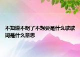 不知道不明了不想要是什么歌歌词是什么意思