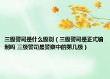 三级警司是什么级别（三级警司是正式编制吗 三级警司是警察中的第几级）
