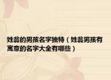 姓翁的男孩名字独特（姓翁男孩有寓意的名字大全有哪些）