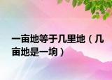 一亩地等于几里地（几亩地是一垧）