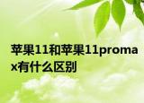 苹果11和苹果11promax有什么区别