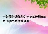 一张图告诉你华为mate30和mate30pro有什么区别