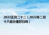 2022正月二十二（2022年二月十八春分是好日吗）