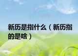 新历是指什么（新历指的是啥）