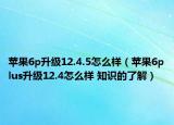 苹果6p升级12.4.5怎么样（苹果6plus升级12.4怎么样 知识的了解）
