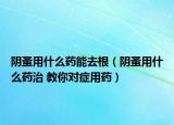 阴蚤用什么药能去根（阴蚤用什么药治 教你对症用药）