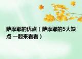 萨摩耶的优点（萨摩耶的5大缺点 一起来看看）