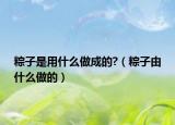 粽子是用什么做成的?（粽子由什么做的）