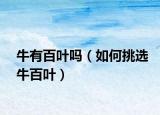 牛有百叶吗（如何挑选牛百叶）