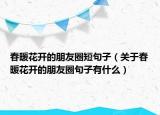 春暖花开的朋友圈短句子（关于春暖花开的朋友圈句子有什么）