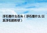 浮石是什么石头（浮石是什么 以及浮石的形状）