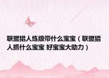 联盟猎人练级带什么宝宝（联盟猎人抓什么宝宝 好宝宝大助力）