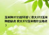 玉米种3721好不好（农大372玉米种的缺点 农大372玉米有什么特点）