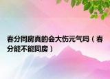 春分同房真的会大伤元气吗（春分能不能同房）