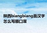 陕西biangbiang面汉字怎么写顺口溜