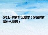梦到开煤矿什么意思（梦见煤矿是什么意思）