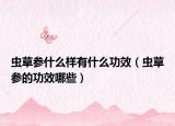 虫草参什么样有什么功效（虫草参的功效哪些）
