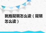 犹抱琵琶怎么读（琵琶怎么读）