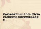 后备母猪喂哺乳料起什么作用（后备母猪可以喂哺乳料吗 后备母猪其实地位很尴尬）