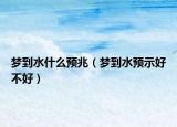 梦到水什么预兆（梦到水预示好不好）