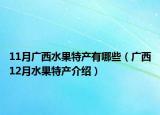 11月广西水果特产有哪些（广西12月水果特产介绍）