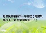 月黑风高夜的下一句是啥（月黑风高夜下一句 给大家介绍一下）