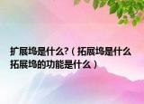 扩展坞是什么?（拓展坞是什么 拓展坞的功能是什么）