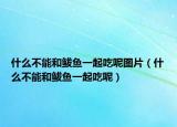 什么不能和鲅鱼一起吃呢图片（什么不能和鲅鱼一起吃呢）