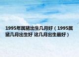1995年属猪出生几月好（1995属猪几月出生好 这几月出生最好）