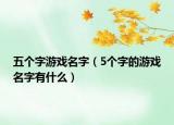 五个字游戏名字（5个字的游戏名字有什么）