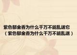 紫色郁金香为什么千万不能乱送它（紫色郁金香为什么千万不能乱送）