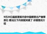 9月20日最新更新内容中国哪里出产翡翠原石 看完以下内容就知道了 详细情况介绍