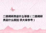 二级调研员是什么等级（二级调研员是什么级别 供大家参考）