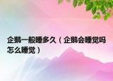 企鹅一般睡多久（企鹅会睡觉吗怎么睡觉）