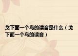 戈下面一个鸟的读音是什么（戈下面一个鸟的读音）