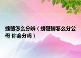 螃蟹怎么分辨（螃蟹脚怎么分公母 你会分吗）