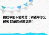 铜钱草能不能修剪（铜钱草怎么修剪 简单四步就搞定）