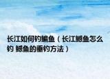 长江如何钓鳊鱼（长江鳡鱼怎么钓 鳡鱼的垂钓方法）