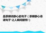 品茶禅语静心的句子（茶禅静心诗词句子 让人瞬间醒悟!）