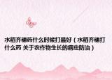 水稻齐穗药什么时候打最好（水稻齐穗打什么药 关于农作物生长的病虫防治）