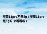 苹果11pro不是5g（苹果11pro是5g吗 来看看啦）