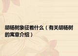 胡杨树象征着什么（有关胡杨树的寓意介绍）