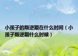 小孩子的叛逆期在什么时间（小孩子叛逆期什么时候）