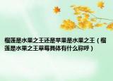 榴莲是水果之王还是苹果是水果之王（榴莲是水果之王草莓具体有什么称呼）
