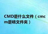 CMD是什么文件（cmcm是啥文件夹）