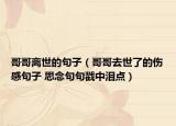 哥哥离世的句子（哥哥去世了的伤感句子 思念句句戳中泪点）