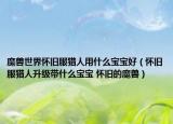 魔兽世界怀旧服猎人用什么宝宝好（怀旧服猎人升级带什么宝宝 怀旧的魔兽）