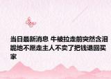 当日最新消息 牛被拉走前突然含泪跪地不愿走主人不卖了把钱退回买家